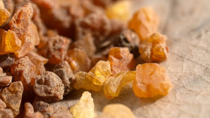 8 • Gomme-résine de myrrhe par larbre à myrrhe • © Adobe Stock