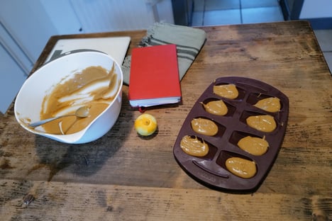 moule madeleines
