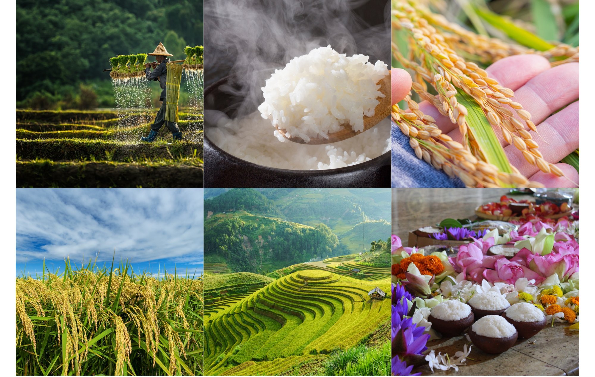 Page daccueil visuel les mousses (2)